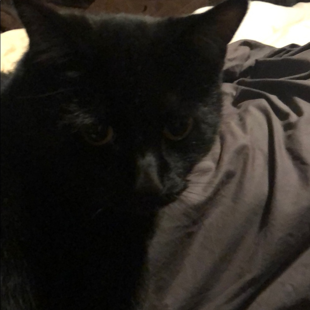 Meet your Posher, Terri